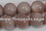 CMS759 15.5 inches 17mm round natural moonstone beads wholesale