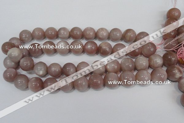 CMS759 15.5 inches 17mm round natural moonstone beads wholesale