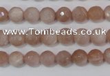 CMS764 15.5 inches 8mm faceted round natural moonstone beads