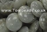 CMS79 15.5 inches 20mm flat round moonstone gemstone beads