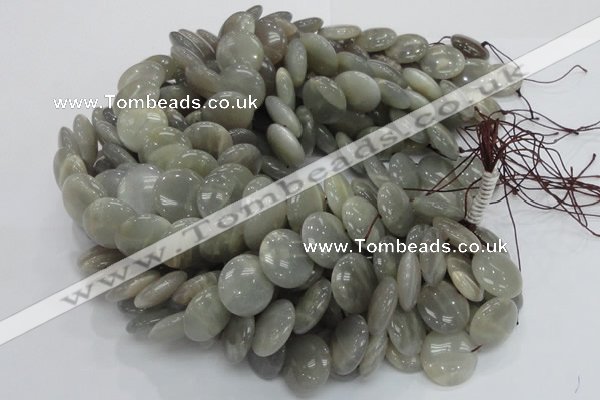 CMS79 15.5 inches 20mm flat round moonstone gemstone beads