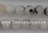 CMS801 15.5 inches 6mm faceted round white moonstone beads