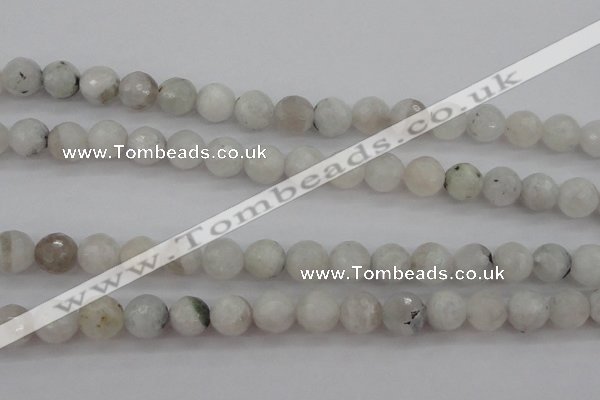 CMS802 15.5 inches 8mm faceted round white moonstone beads