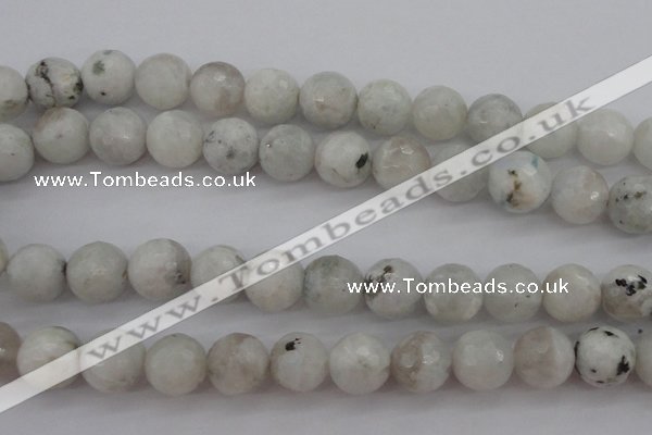CMS804 15.5 inches 12mm faceted round white moonstone beads