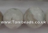 CMS805 15.5 inches 14mm faceted round white moonstone beads