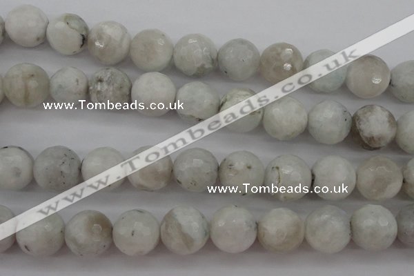 CMS805 15.5 inches 14mm faceted round white moonstone beads