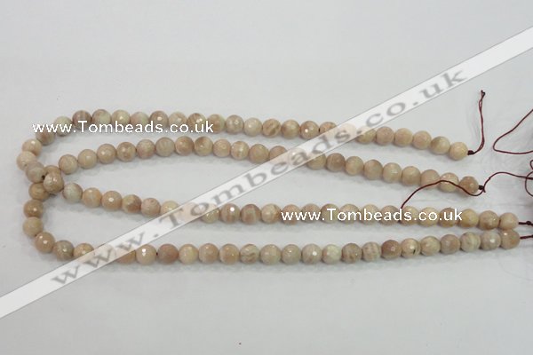 CMS83 15.5 inches 8mm faceted round moonstone gemstone beads