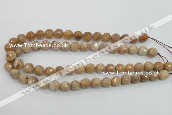 CMS85 15.5 inches 12mm faceted round moonstone gemstone beads