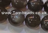 CMS855 15.5 inches 14mm round natural black moonstone beads