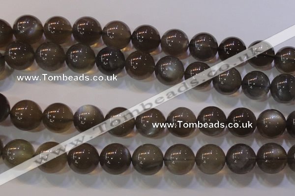 CMS855 15.5 inches 14mm round natural black moonstone beads