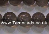 CMS860 15.5 inches 10mm round A grade natural black moonstone beads