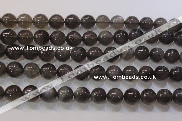 CMS861 15.5 inches 12mm round A grade natural black moonstone beads