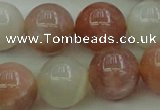 CMS894 15.5 inches 12mm round moonstone gemstone beads wholesale