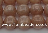 CMS934 15.5 inches 12mm round A grade moonstone gemstone beads