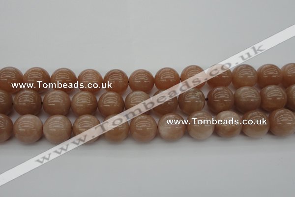 CMS935 15.5 inches 14mm round A grade moonstone gemstone beads