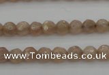 CMS940 15.5 inches 4mm faceted round A grade moonstone gemstone beads