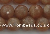 CMS943 15.5 inches 10mm faceted round A grade moonstone gemstone beads