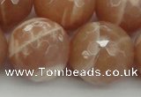 CMS948 15.5 inches 20mm faceted round A grade moonstone gemstone beads