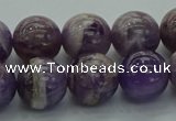 CNA1004 15.5 inches 12mm round dogtooth amethyst beads wholesale