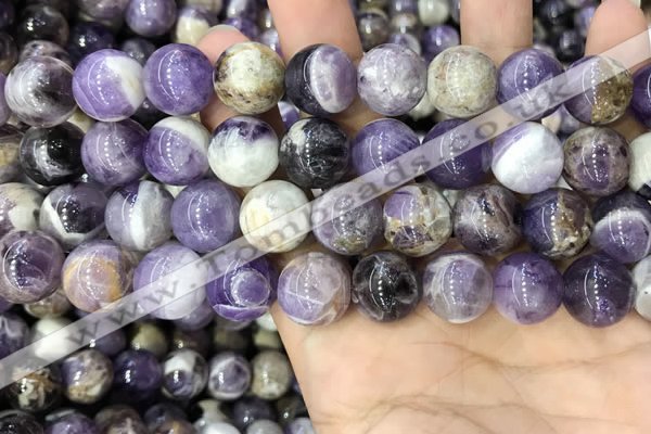 CNA1086 15.5 inches 14mm round dogtooth amethyst beads wholesale