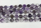 CNA1185 15.5 inches 10mm flat round amethyst beads wholesale