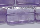 CNA857 15.5 inches 30*40mm rectangle natural light amethyst beads