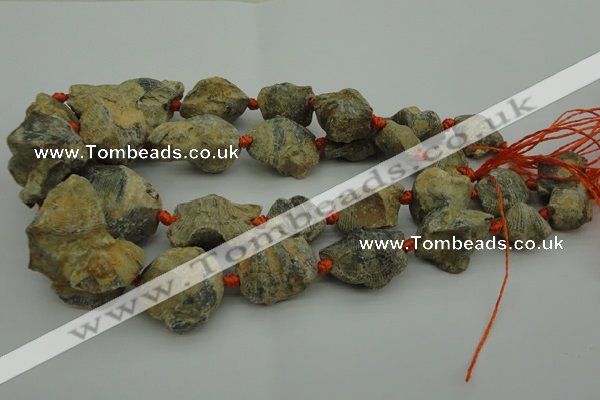 CNG1045 15.5 inches 15*20mm - 25*35mm nuggets inkstone fossil beads