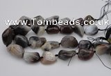 CNG1097 15.5 inches 18*25mm - 25*35mm nuggets botswana agate beads