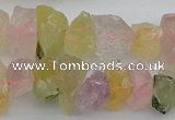 CNG1139 15.5 inches 8*12mm - 13*18mm nuggets mixed quartz beads