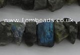 CNG1140 15.5 inches 8*12mm - 13*18mm nuggets labradorite beads