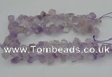 CNG1157 15.5 inches 8*12mm - 13*18mm nuggets ametrine beads