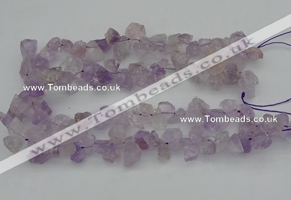 CNG1157 15.5 inches 8*12mm - 13*18mm nuggets ametrine beads