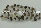 CNG1158 8*12mm - 13*18mm nuggets white crystal & smoky quartz beads