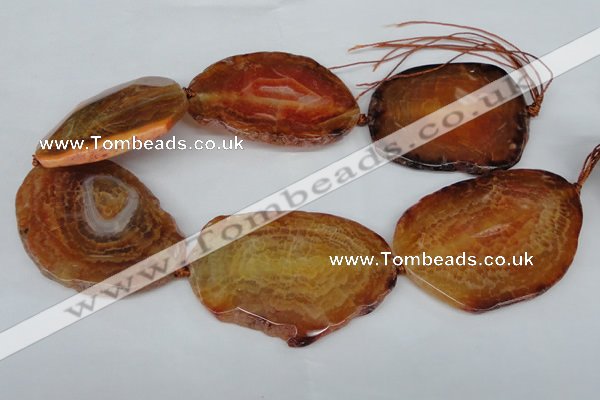 CNG1237 15.5 inches 40*50mm - 55*65mm freeform agate beads