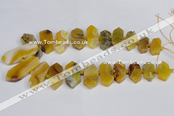 CNG1392 15.5 inches 15*25mm - 20*40mm wand agate gemstone beads