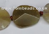 CNG1408 15.5 inches 20*25mm - 30*35mm faceted freeform agate beads