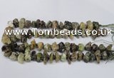 CNG1598 15.5 inches 10*14mm - 15*20mm nuggets green garnet beads