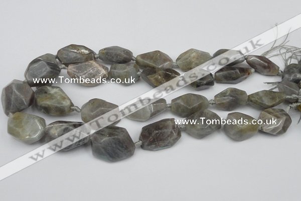 CNG1715 15.5 inches 15*20mm - 20*30mm nuggets labradorite beads