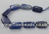 CNG2428 15.5 inches 25*35mm - 30*40mm freeform lapis lazuli beads