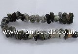 CNG2541 12*20mm – 15*30mm nuggets tourmaline beads wholesale