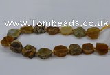 CNG2768 15.5 inches 20*22mm - 22*26mm freeform agate beads