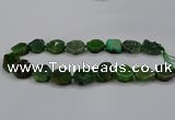 CNG2772 15.5 inches 20*22mm - 22*26mm freeform agate beads