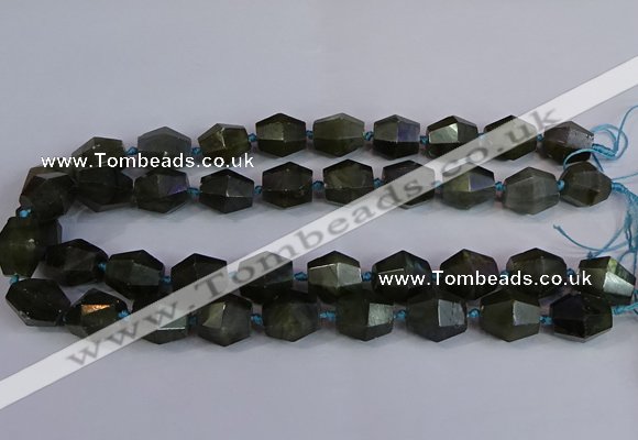 CNG2831 15.5 inches 13*15mm - 15*17mm faceted nuggets labradorite beads