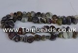 CNG2837 15.5 inches 8*12mm - 15*20mm nuggets botswana agate beads