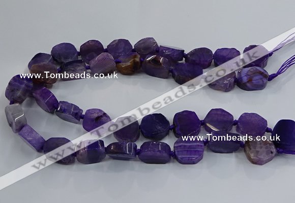 CNG2908 15.5 inches 12*16mm - 15*25mm freeform agate beads