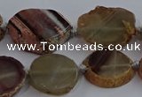 CNG2930 15.5 inches 18*25mm - 25*30mm freeform agate beads