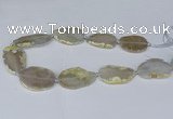 CNG2948 15.5 inches 22*30mm - 30*45mm freeform agate beads