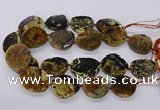 CNG3192 15.5 inches 22*30mm - 30*40mm freeform opal gemstone beads