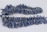 CNG3382 15.5 inches 3*15mm - 5*30mm sticks blue kyanite beads