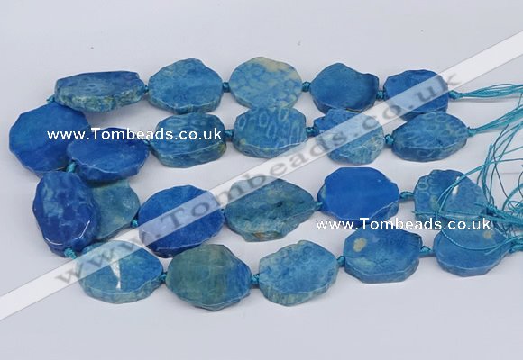 CNG3486 30*35mm - 35*45mm freeform chrysanthemum agate beads